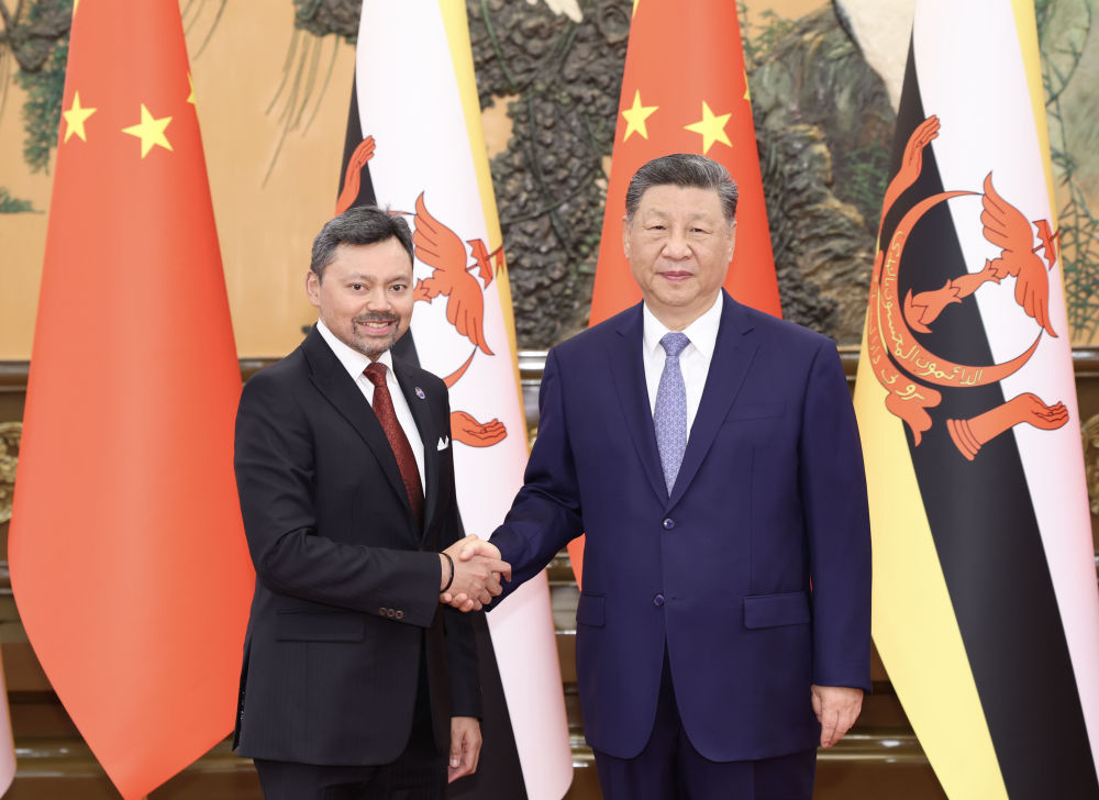 习近平会见王储比拉.jpeg